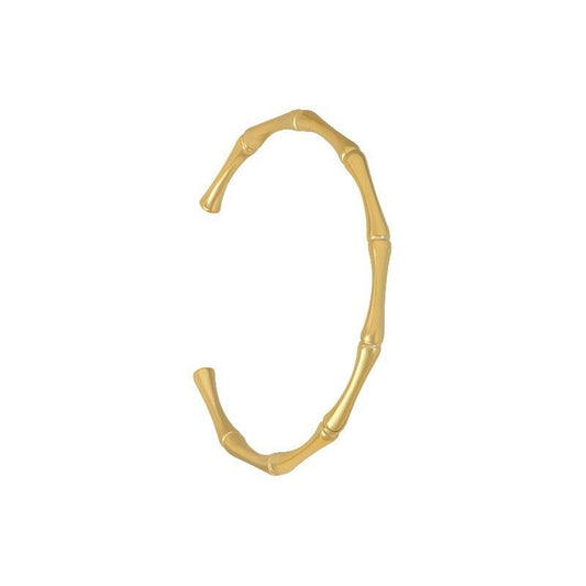 Aurora Bone Bangle